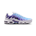 Nike Air Max Plus White Gradient Blue DM0032-111