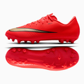 Nike Nike Zoom Mercurial Vapor 16 Academy AG IM5847-600