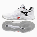 Mizuno Mizuno WAVE MOMENTUM PRO V1GA254059