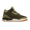 Nike Air Jordan 3 Retro Family Affair (GS) DM0967-202