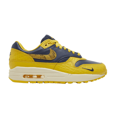 Nike Air Max 1 CO.JP Michigan Head to Head (Women's) FJ5479-410