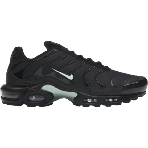 Nike Air Max Plus Black Mint Green DM0032-029