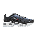Nike Air Max Plus Blue Tint Rugged Orange (GS) CD0609-023