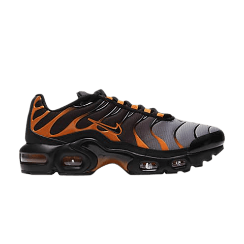 Nike Air Max Plus GS 'Black Team Orange' DJ4619-001