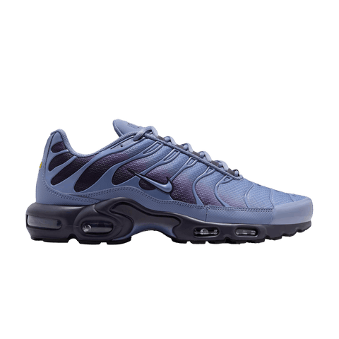 Nike Air Max Plus World Indigo DM0032-404