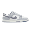 Nike Dunk Low SE Light Carbon FJ4188-100