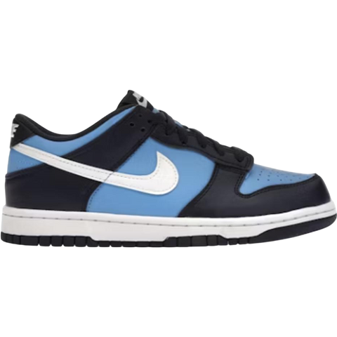 Nike Dunk Low University Blue White (GS) HF0031-400