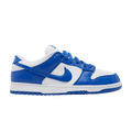 Nike Dunk Low SP Kentucky CU1726-100