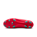 zool