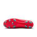 zool