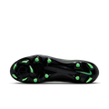zool