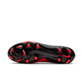 zool