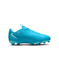 Nike FD6722-400