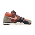 Nike SB Air Trainer 1 Arts-Rec Limestone IF0501-200