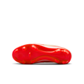 zool