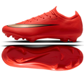 Nike Nike Zoom Mercurial Vapor 17 Pro FG IF8512-600
