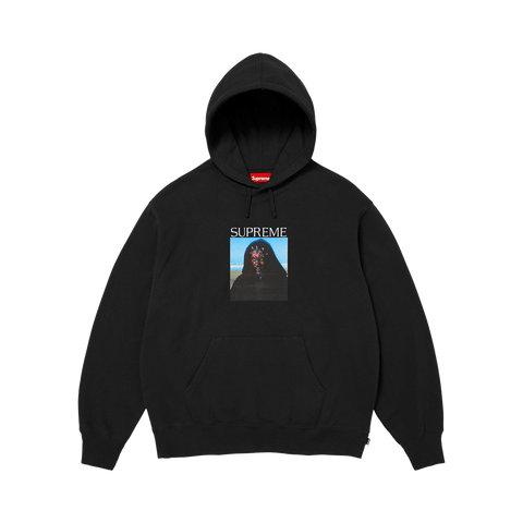 Supreme Sith Hooded Sweatshirt 'Black' FW26SW79-BLACK