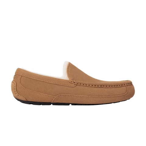 Ugg Ascot Slipper Chestnut 1101110-CHE
